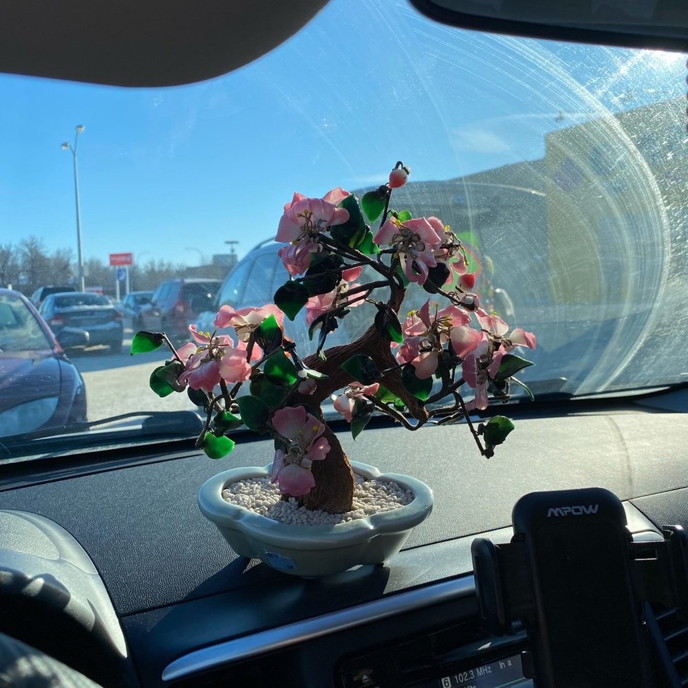 Bonsai Glass Tree
